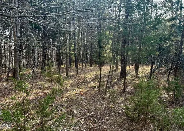 $85,000 | 11.05-acre Elmore Road, Leasburg, NC 27291