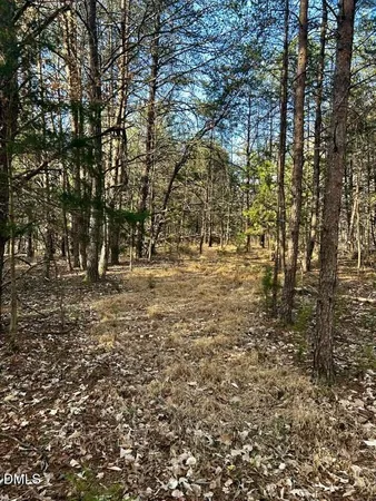 $85,000 | 11.05-acre Elmore Road, Leasburg, NC 27291