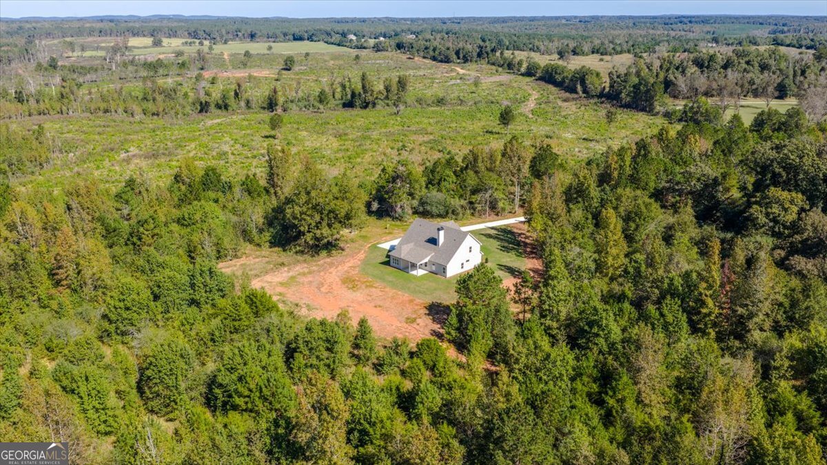 1518 The Rock Road Thomaston, GA 30286 - Photo 2 of 53