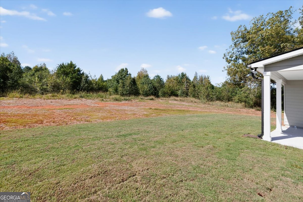 1518 The Rock Road Thomaston, GA 30286 - Photo 39 of 53