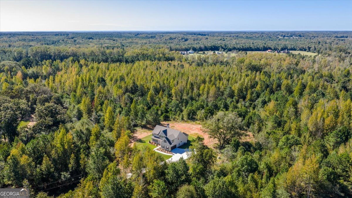 1518 The Rock Road Thomaston, GA 30286 - Photo 40 of 53