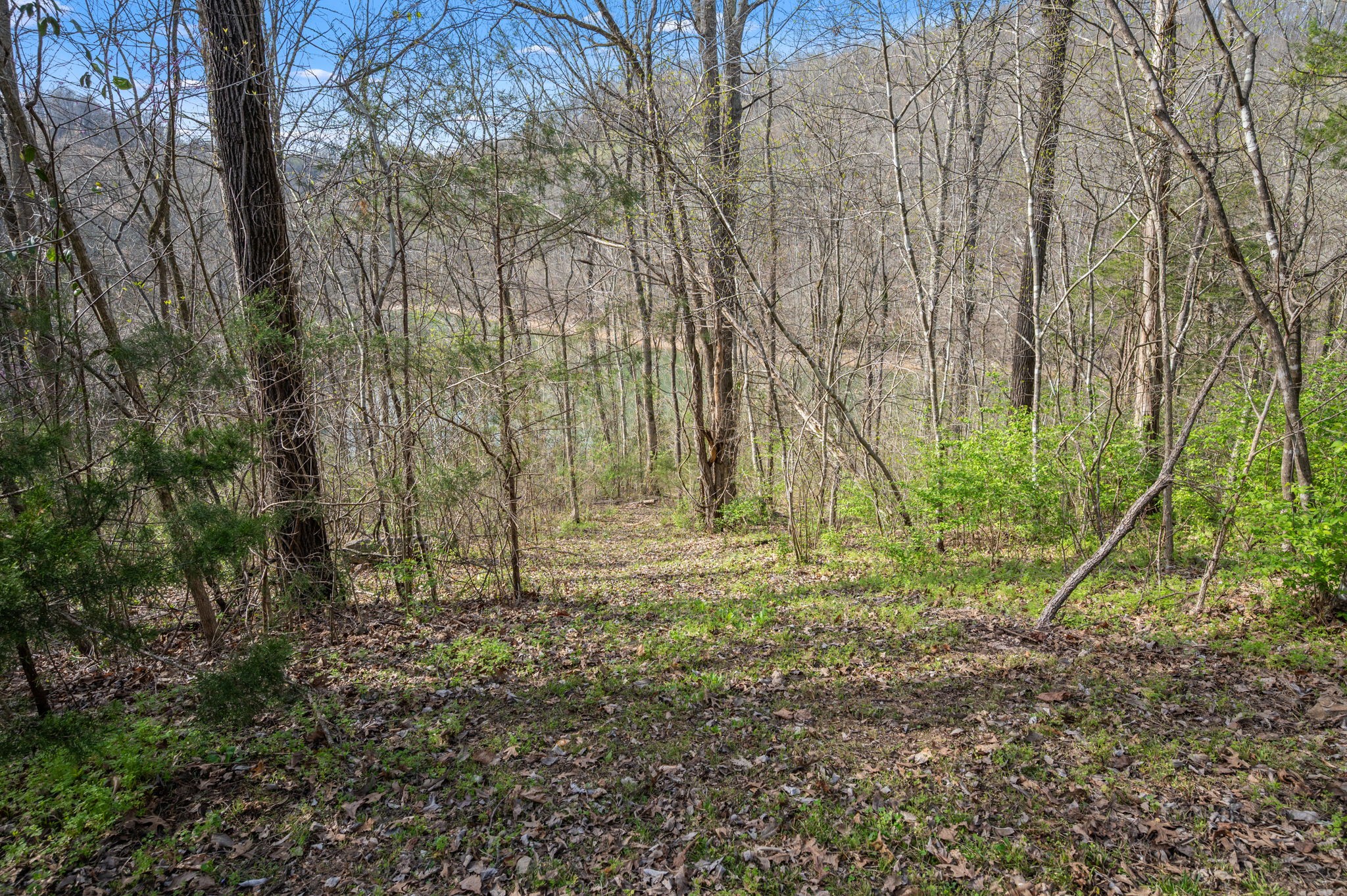 929 Old Casey Cove Road Smithville, TN 37166 - Photo 49 of 63