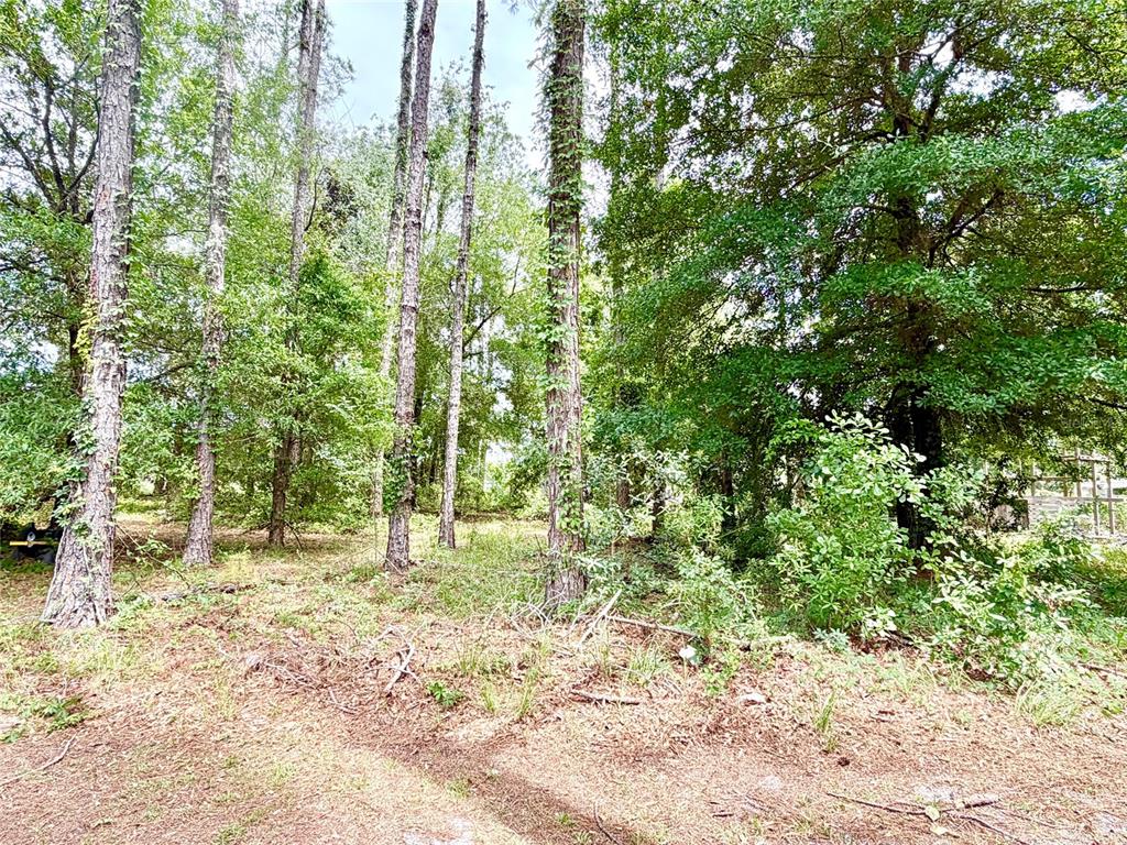 9972 Southwest 151st Place Lake Butler, FL 32054 - Photo 22 of 27