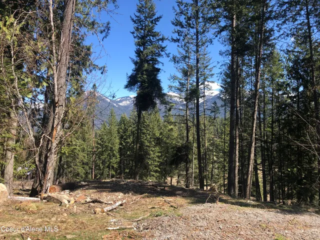 $235,000 | Blk1-lot3 Blk1-lot3 Sasha Point, Hope, ID 83836