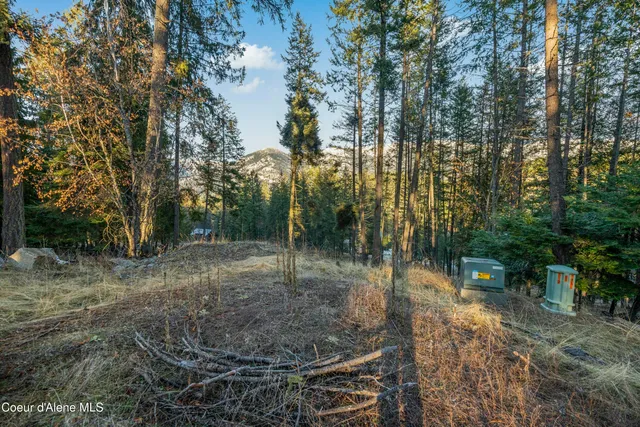 $235,000 | Blk1-lot3 Blk1-lot3 Sasha Point, Hope, ID 83836