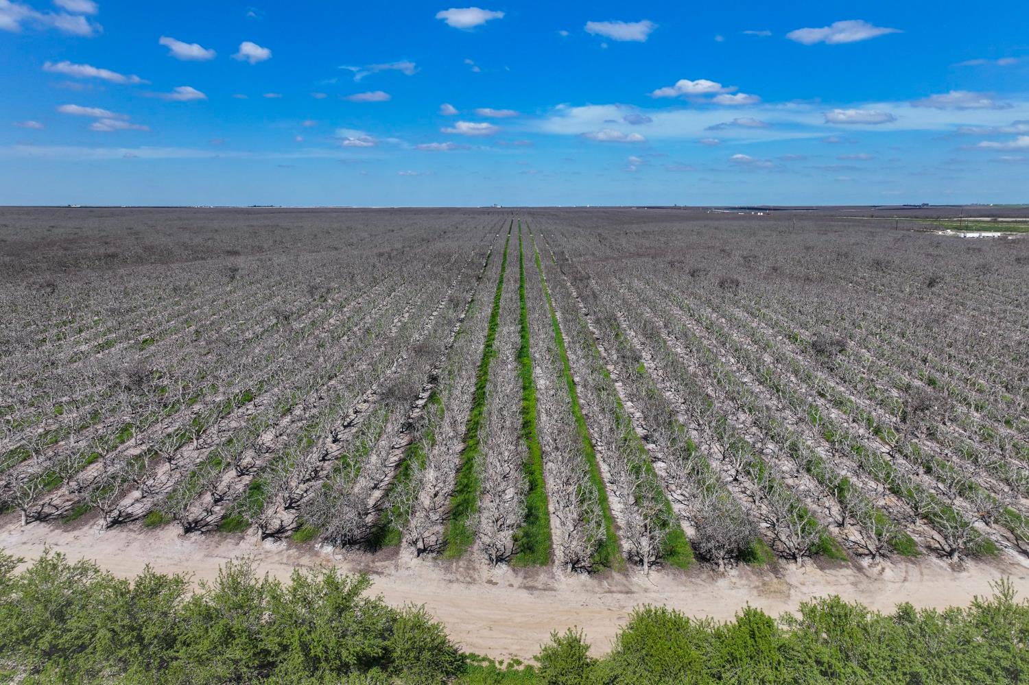 0 Kimberlina Road Bakersfield, CA 93308 - Photo 3 of 11
