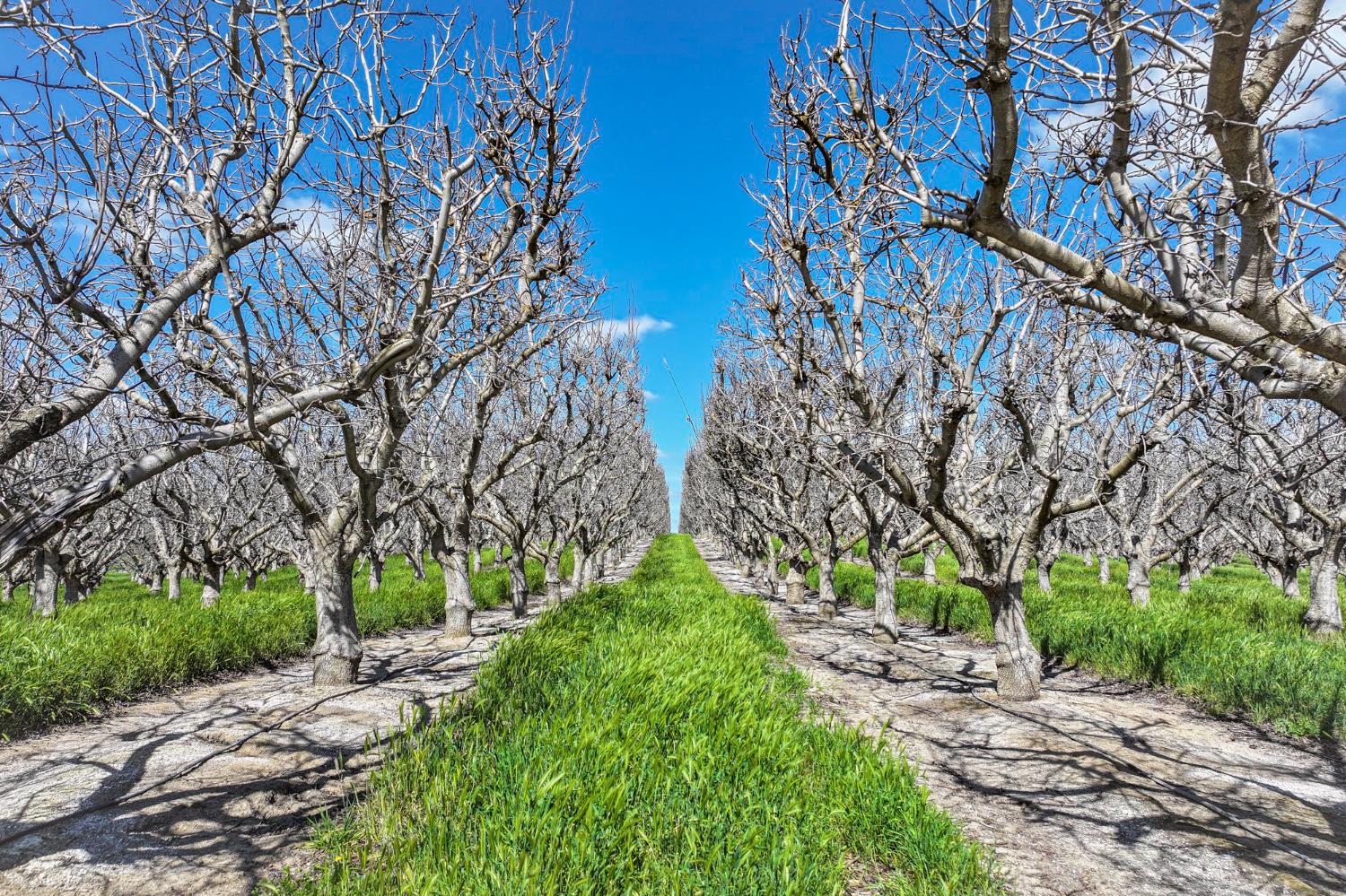 0 Kimberlina Road Bakersfield, CA 93308 - Photo 4 of 11