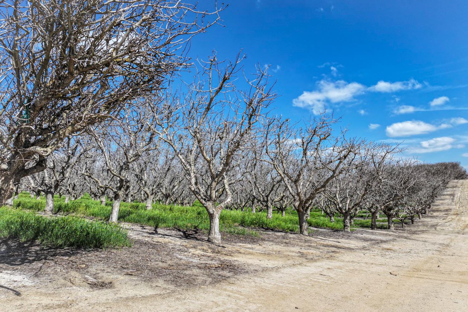 0 Kimberlina Road Bakersfield, CA 93308 - Photo 6 of 11