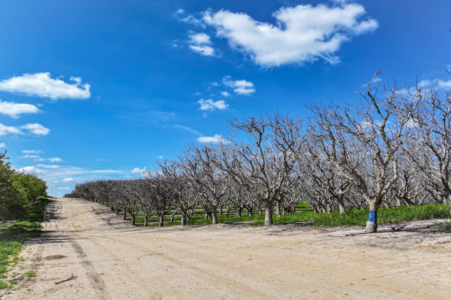 0 Kimberlina Road Bakersfield, CA 93308 - Photo 7 of 11