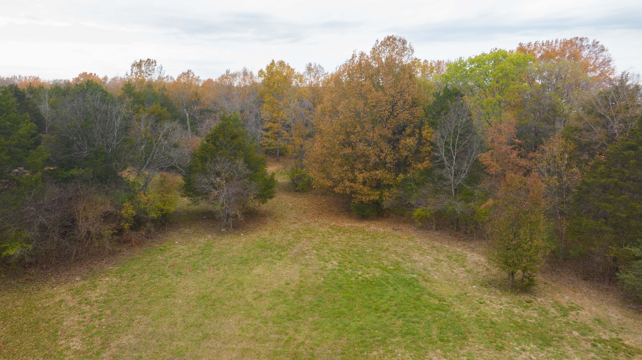 888 Baker Road Smyrna, TN 37167 - Photo 64 of 78 Gallery Image 64