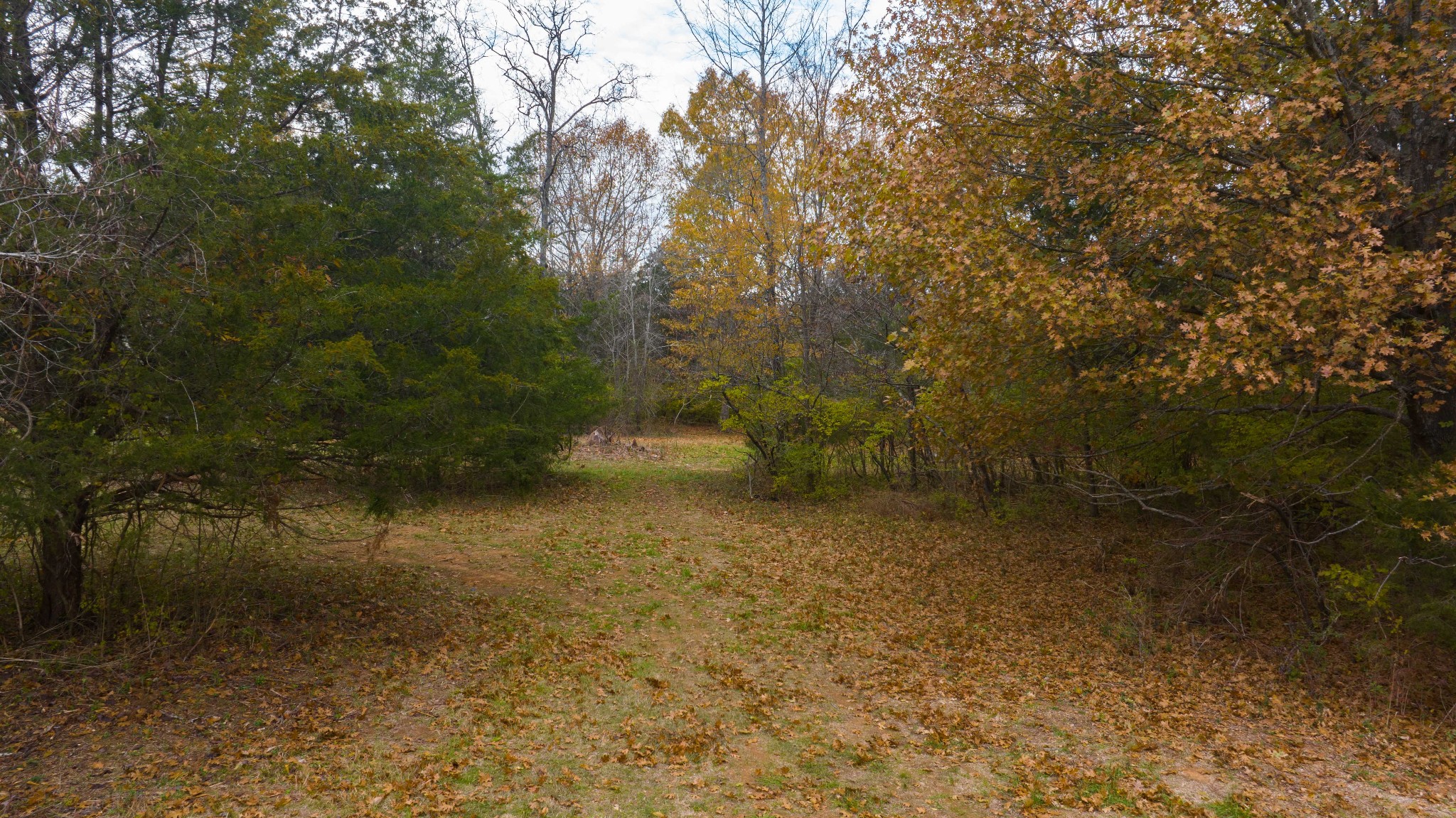 888 Baker Road Smyrna, TN 37167 - Photo 66 of 78 Gallery Image 66