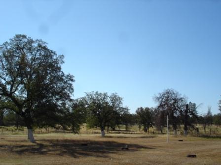 22155 Old Alturas Road Redding, CA 96003 - Photo 2 of 5 a view of road and trees