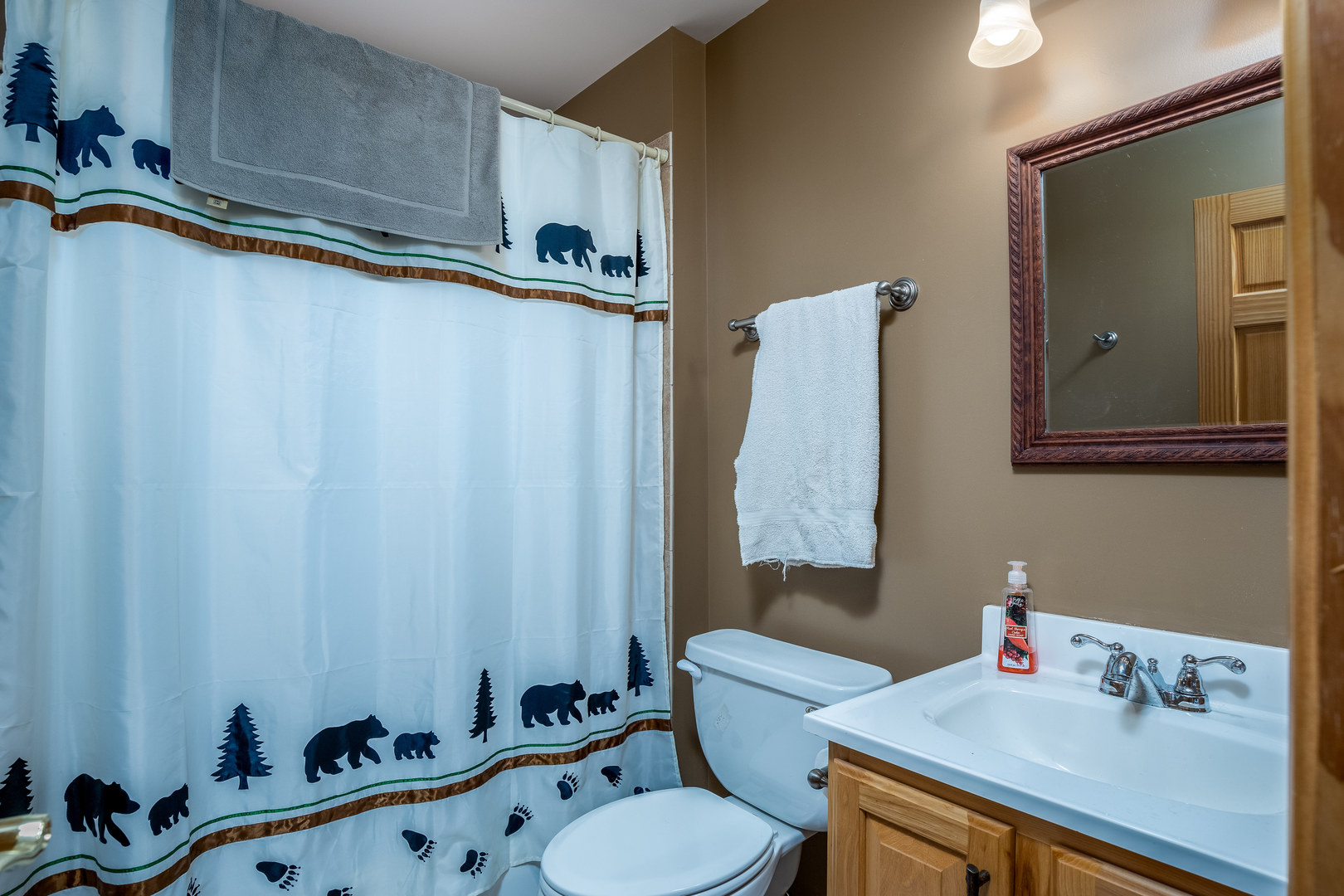 2839 A East 2525th Road Marseilles, IL 61341 - Photo 31 of 42 a bathroom with a sink mirror vanity and toilet