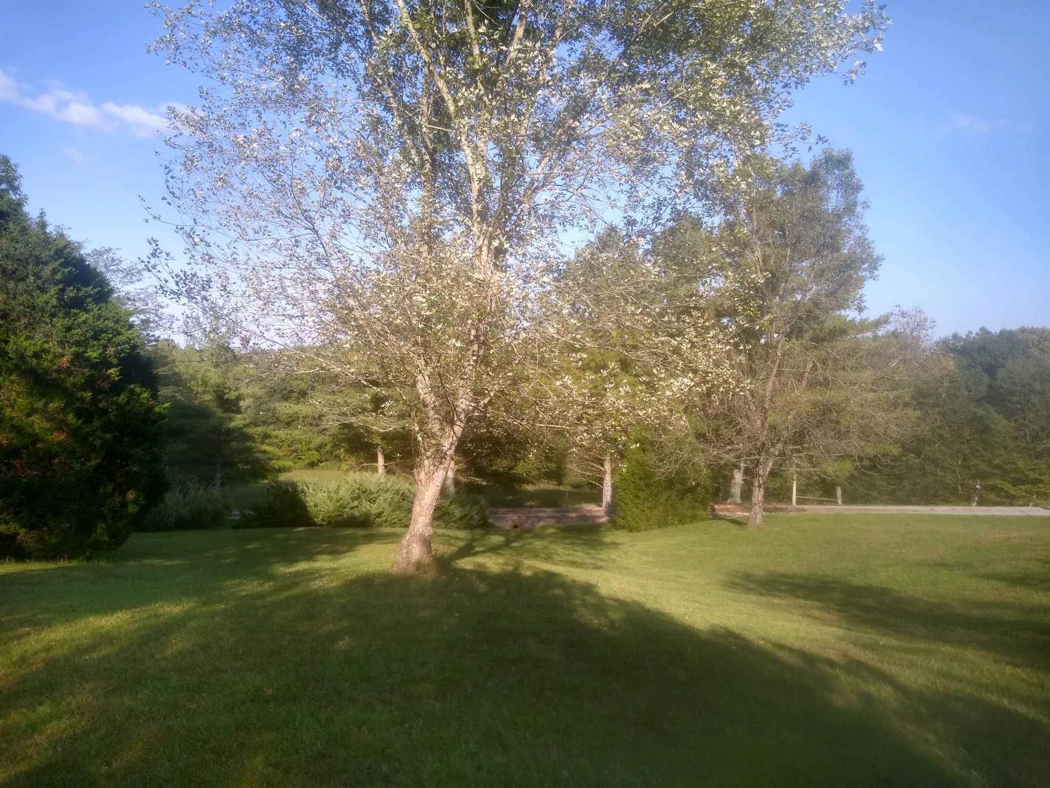 4395 Reevesville Road Grantsburg, IL 62943 - Photo 15 of 36 Gallery Image 15