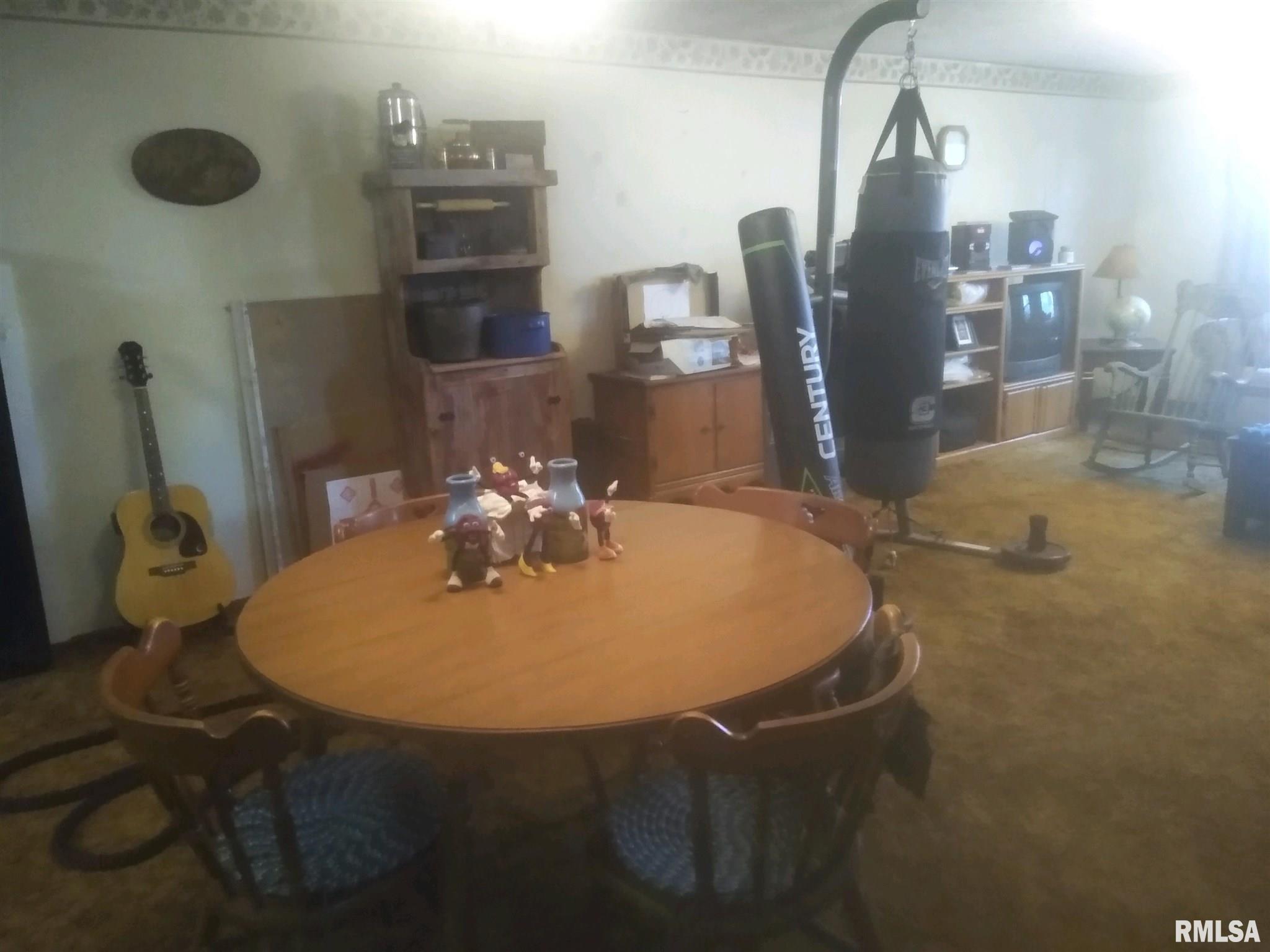 4395 Reevesville Road Grantsburg, IL 62943 - Photo 24 of 36 Gallery Image 24