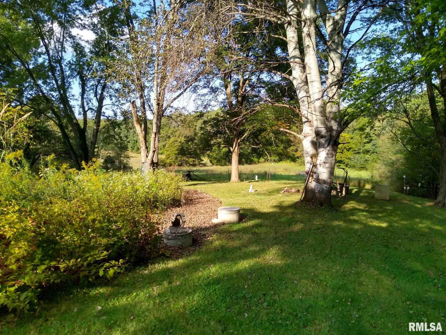 4395 Reevesville Road Grantsburg, IL 62943 - Photo 4 of 36 Gallery Image 4