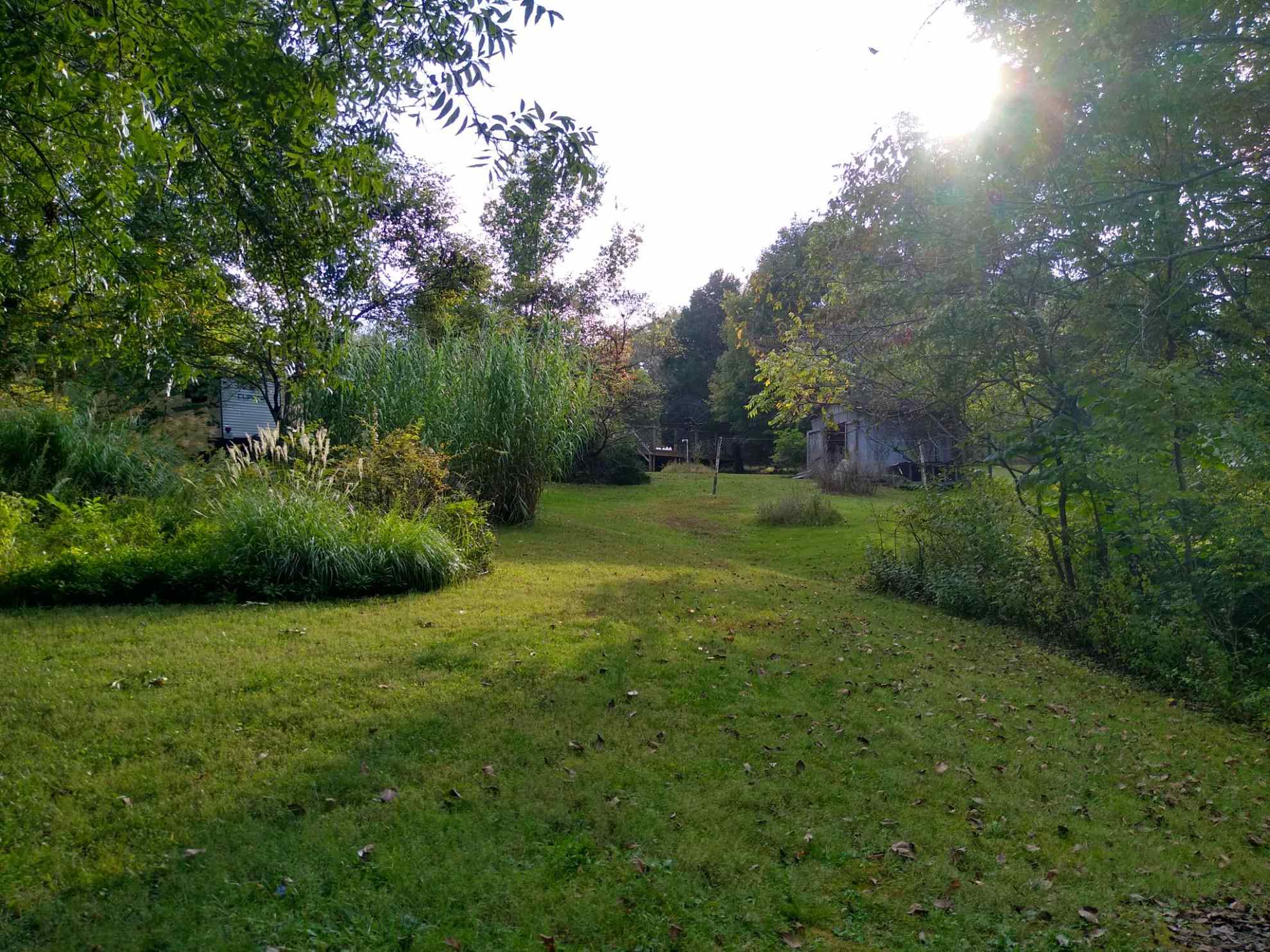 4395 Reevesville Road Grantsburg, IL 62943 - Photo 9 of 36 Gallery Image 9