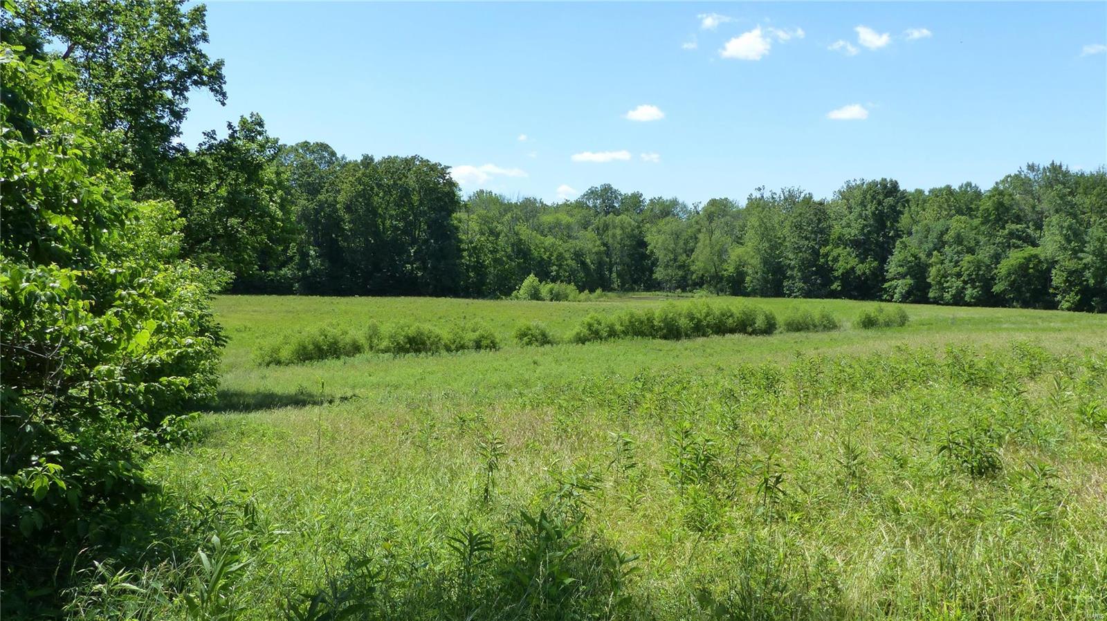 0 Pomona Road Pomona, IL 62975 - Photo 16 of 38
