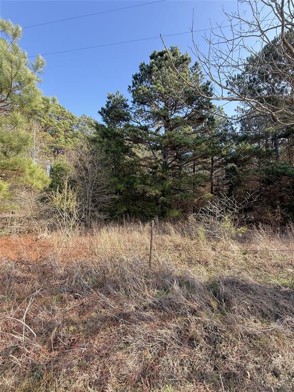 0 Fm 2888 Naples, TX 75568 - Photo 2 of 7