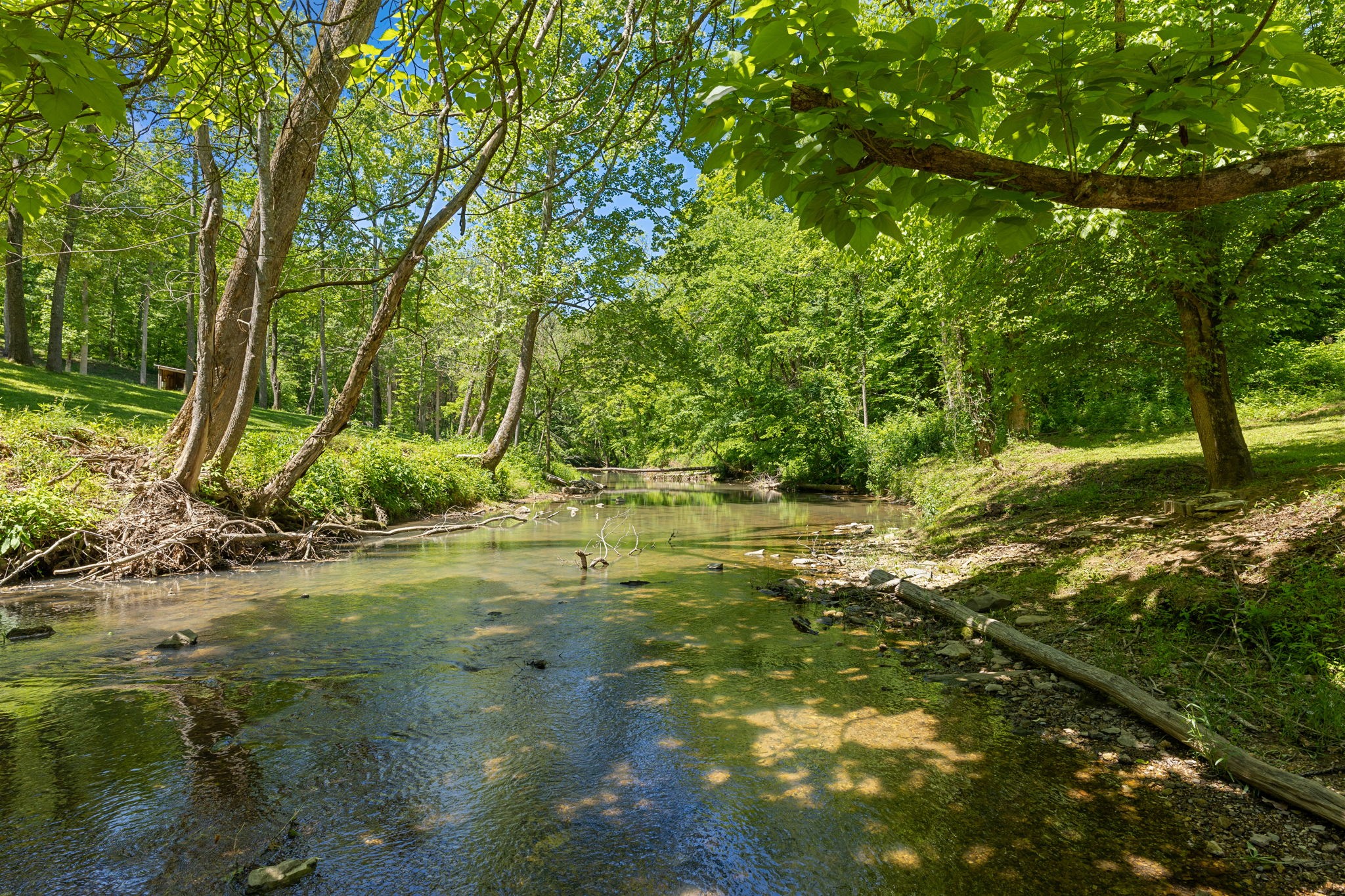 0 Bone Cave Road Rock Island, TN 38581 - Photo 1 of 31 Gallery Image 1