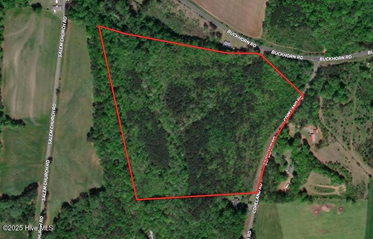 Tbd Copeland Road Sanford, NC 27330 - Photo 1 of 17 aerial view