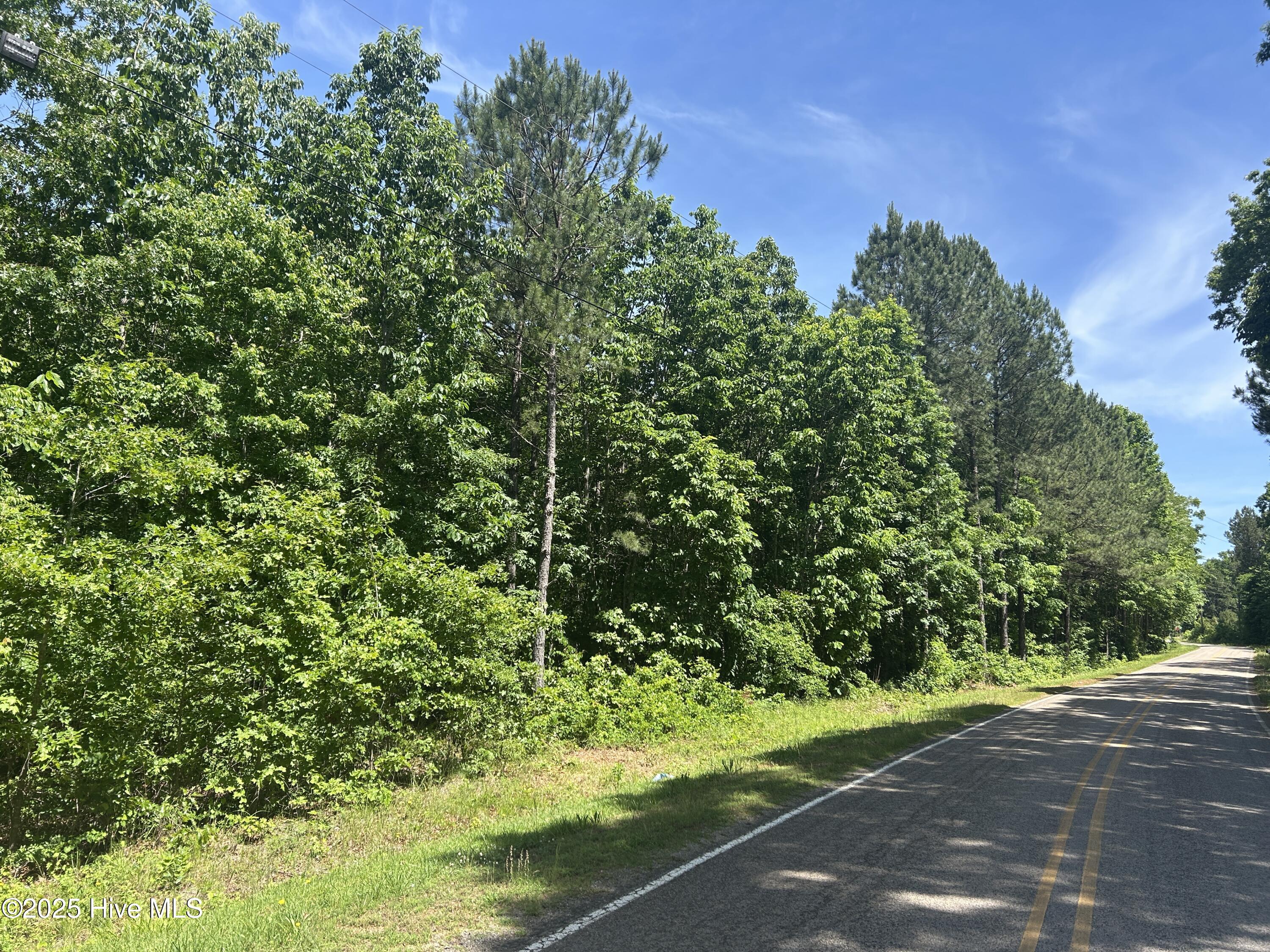Tbd Copeland Road Sanford, NC 27330 - Photo 13 of 17 IMG_3354