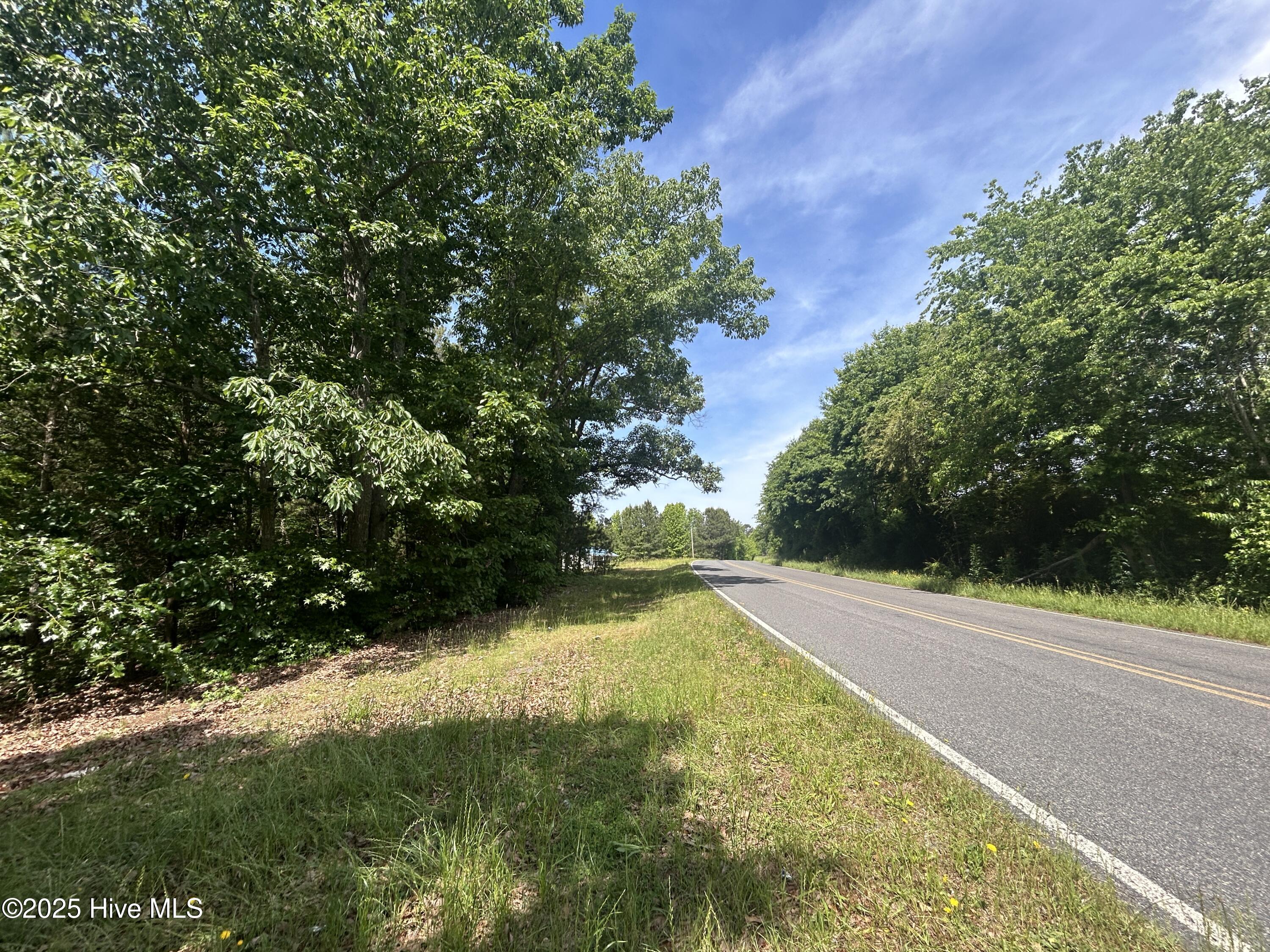 Tbd Copeland Road Sanford, NC 27330 - Photo 7 of 17 IMG_3328