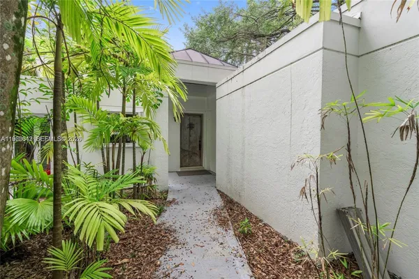 a view of a backyard with plants