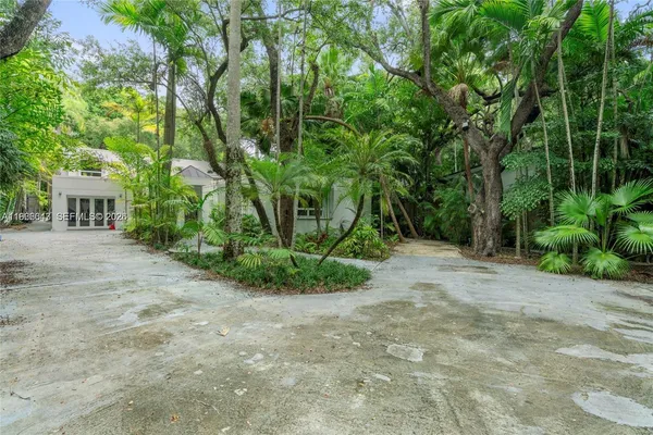 a view of a yard with plants and large trees
