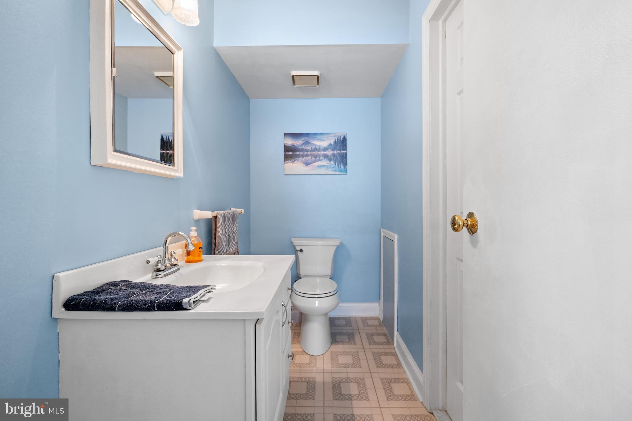 32 Brighton Place Sewell, NJ 08080 - Photo 10 of 21 a bathroom with a sink a toilet and shower curtain