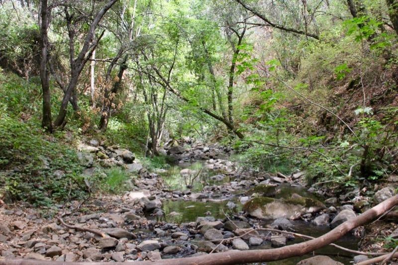 1 Vierra Road Rackerby, CA 95972 - Photo 11 of 15