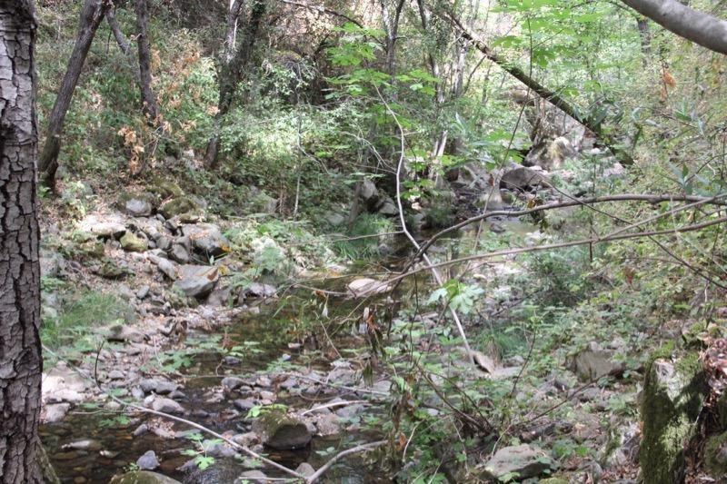 1 Vierra Road Rackerby, CA 95972 - Photo 12 of 15