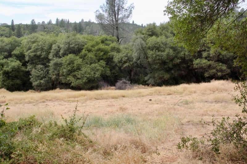 1 Vierra Road Rackerby, CA 95972 - Photo 13 of 15