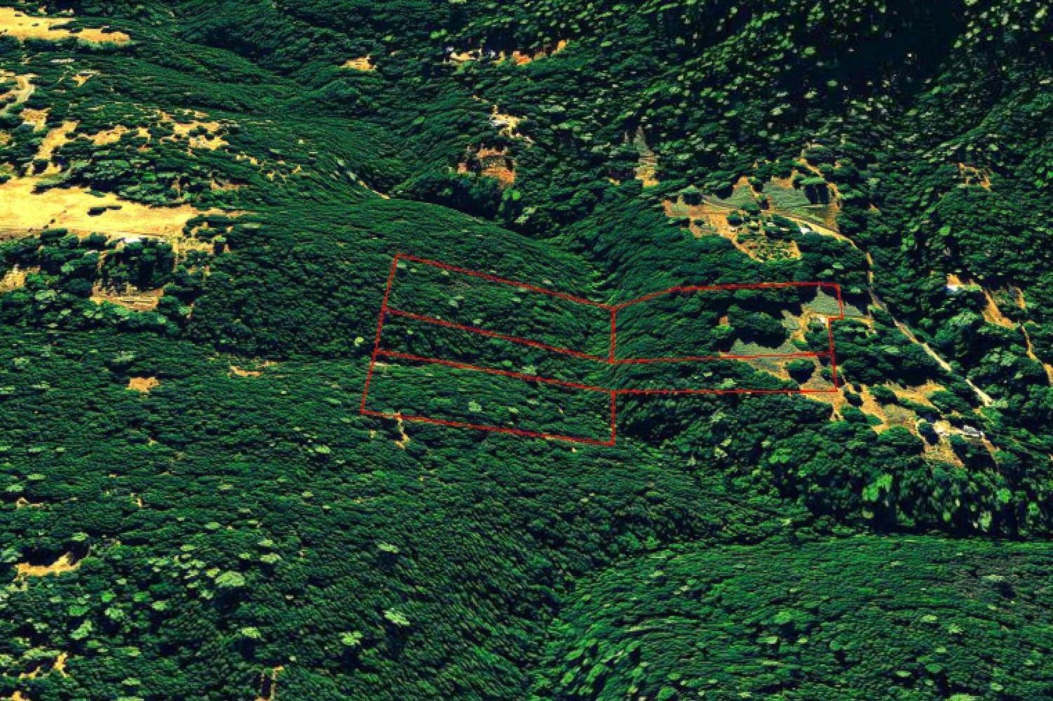 1 Vierra Road Rackerby, CA 95972 - Photo 4 of 15