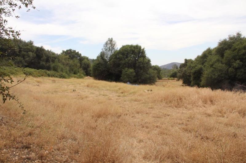 1 Vierra Road Rackerby, CA 95972 - Photo 6 of 15