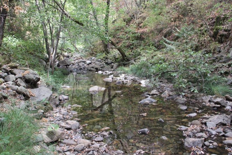 1 Vierra Road Rackerby, CA 95972 - Photo 7 of 15