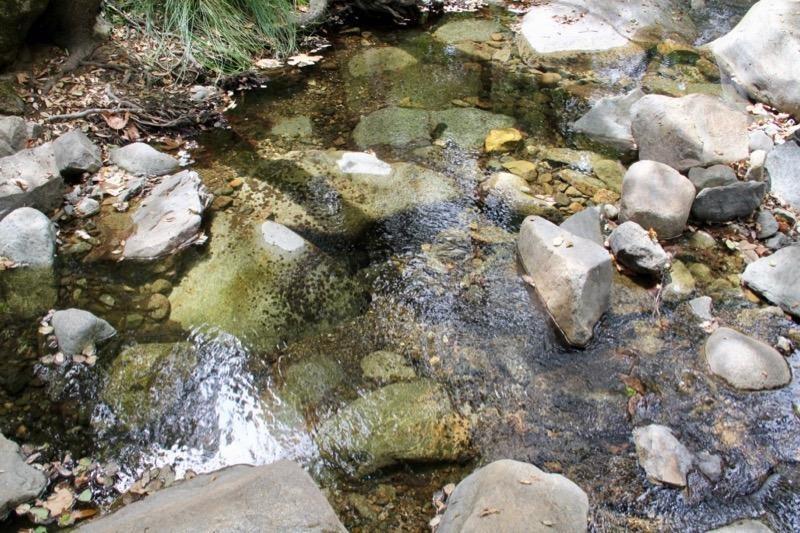 1 Vierra Road Rackerby, CA 95972 - Photo 8 of 15