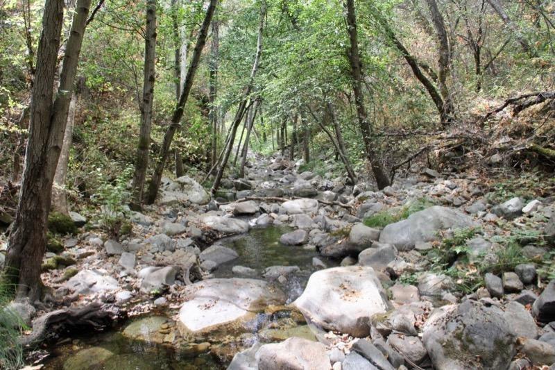 1 Vierra Road Rackerby, CA 95972 - Photo 9 of 15