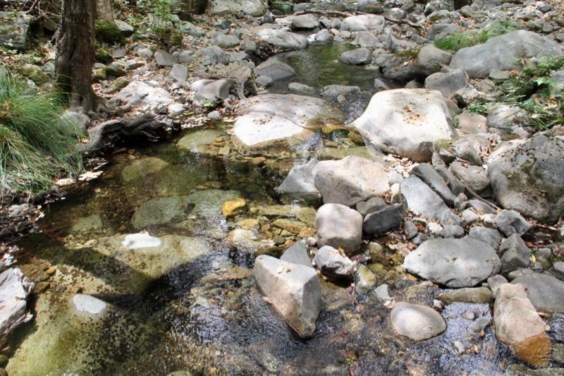 1 Vierra Road Rackerby, CA 95972 - Photo 10 of 15