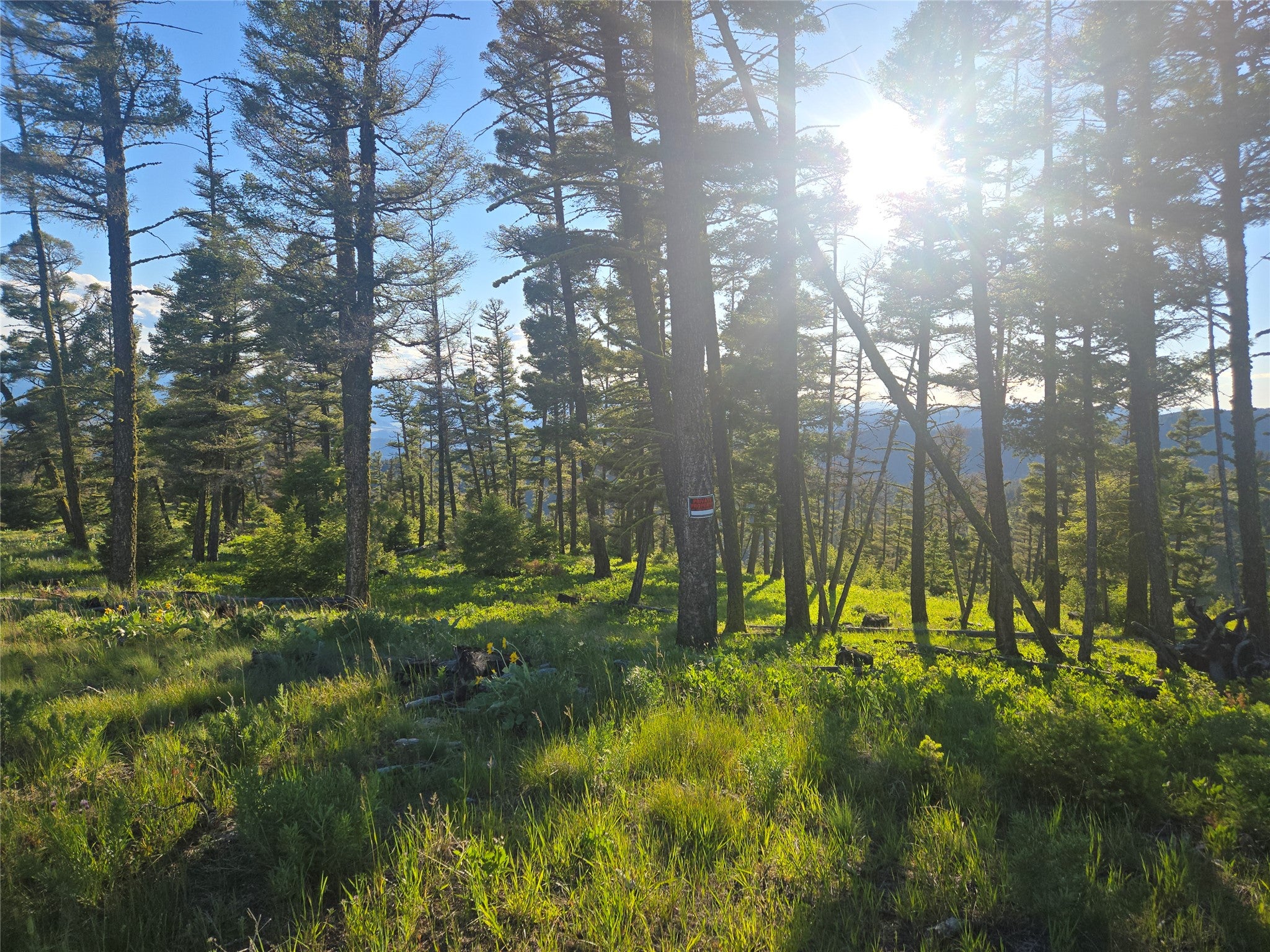 1 Big Sky Ridge Road Drummond, MT 59832 - Photo 2 of 13 Gallery Image 2