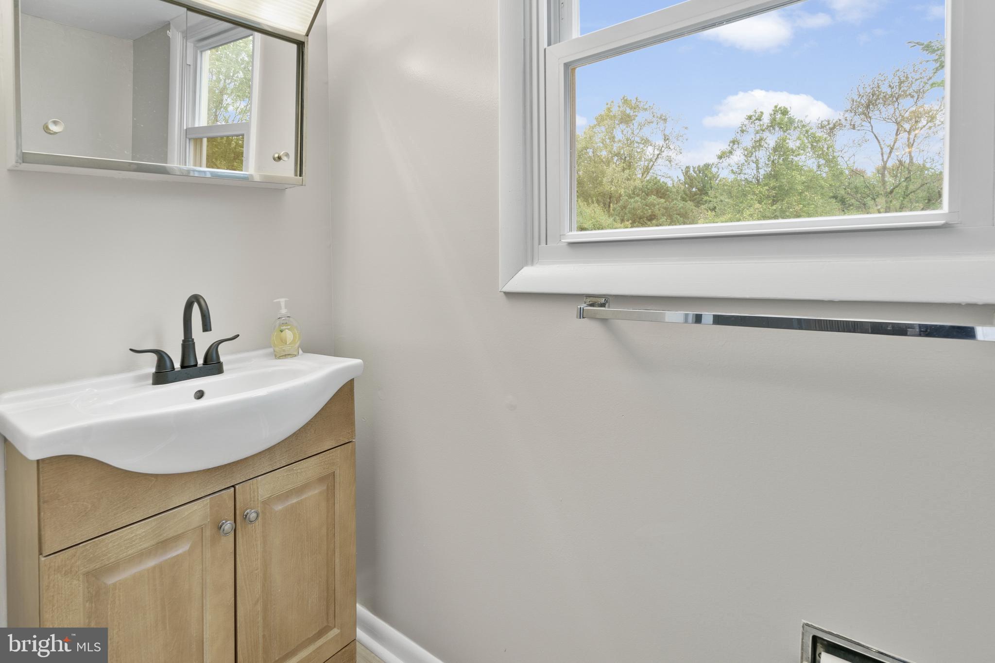 5134 Perry Road Mount Airy, MD 21771 - Photo 14 of 28 a bathroom with a sink and a mirror