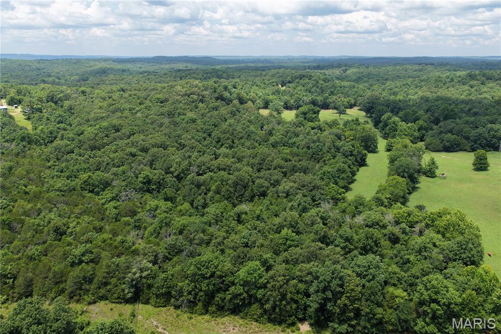 Tbd Fairview Road Imboden, AR 72434 - Photo 16 of 24