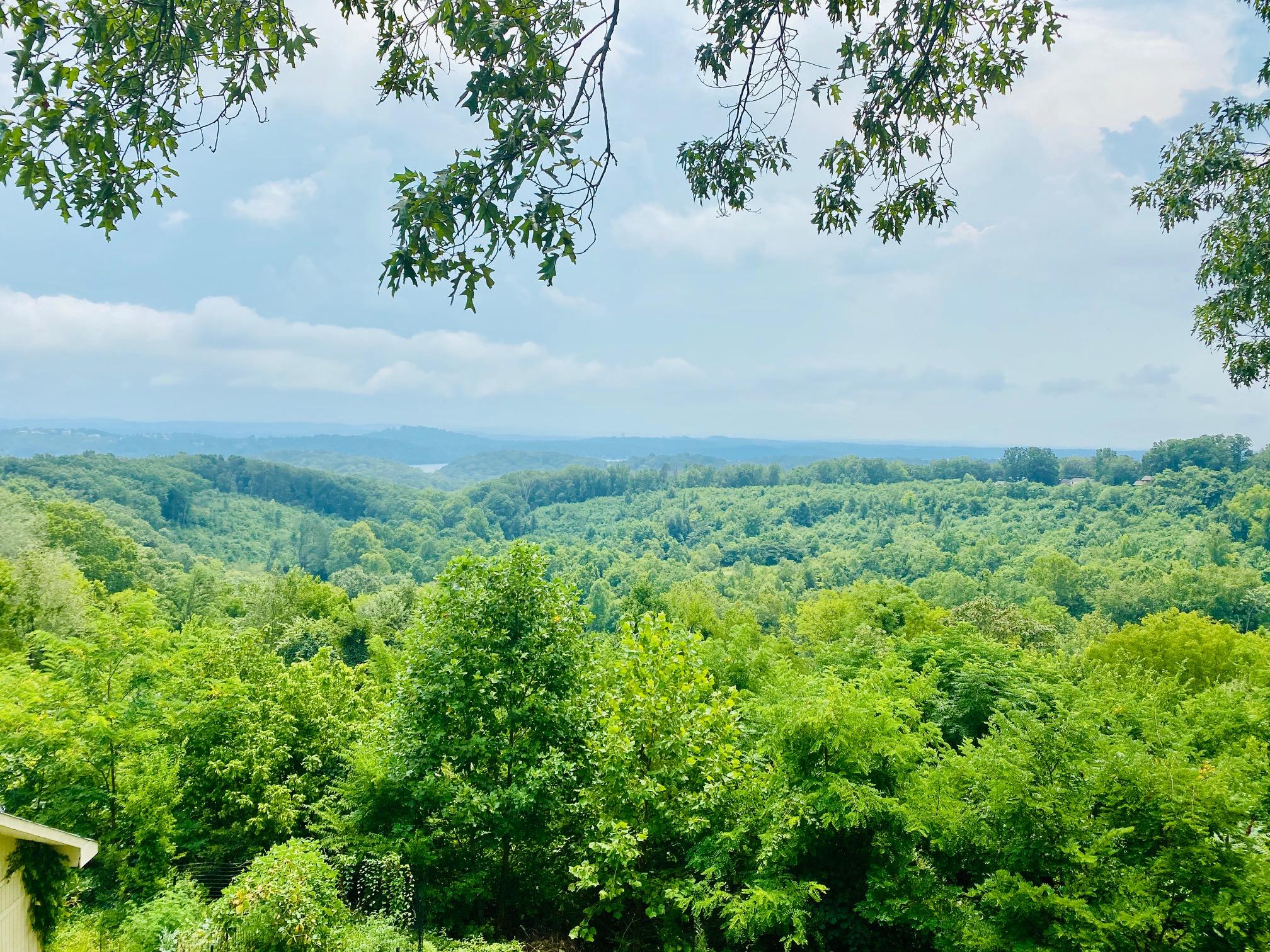 6568 Fairview Road Hixson, TN 37343 - Photo 1 of 28 IMG_1154
