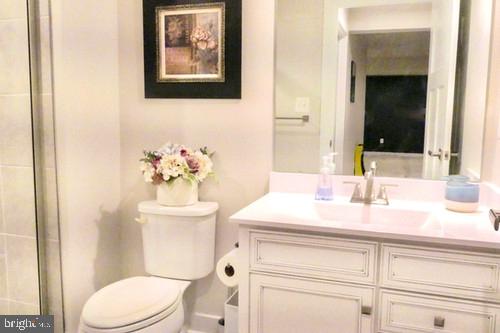 14905 Mapleridge Road Culpeper, VA 22701 - Photo 38 of 40 a bathroom with a sink vanity mirror and toilet