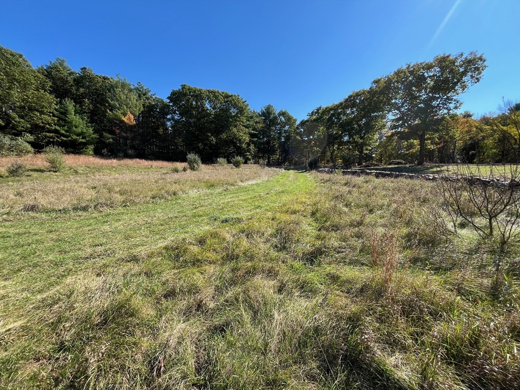 461 Lincoln Road Walpole, MA 02081 - Photo 11 of 22 Gallery Image 11