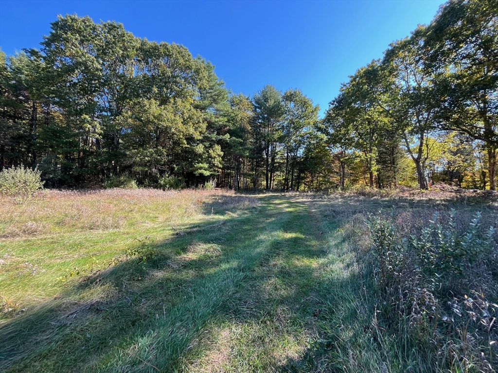 461 Lincoln Road Walpole, MA 02081 - Photo 14 of 22 Gallery Image 14