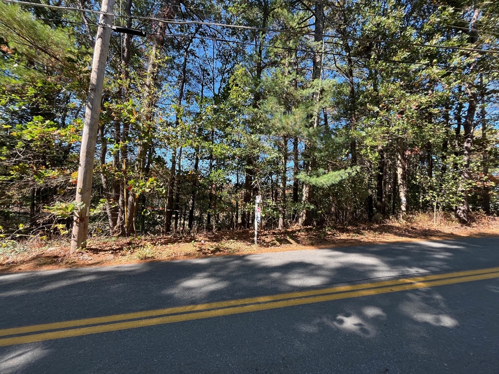 461 Lincoln Road Walpole, MA 02081 - Photo 19 of 22 Gallery Image 19