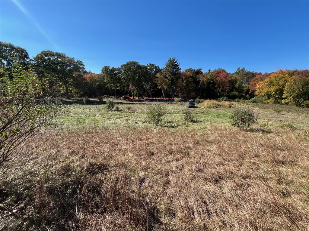 461 Lincoln Road Walpole, MA 02081 - Photo 7 of 22 Gallery Image 7