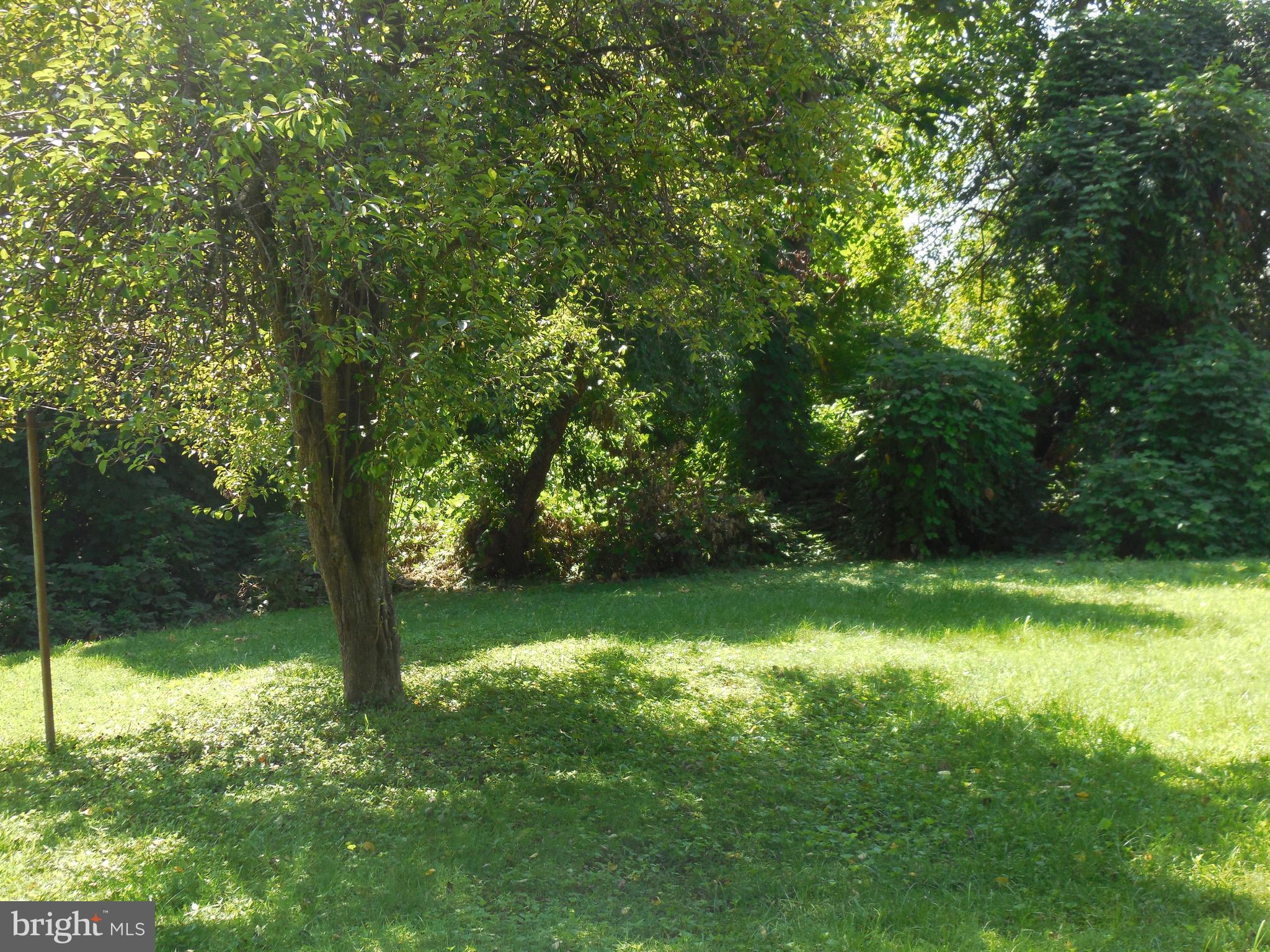 171 Riverside Road Baltimore, MD 21221 - Photo 20 of 21 a view of a yard with a trees