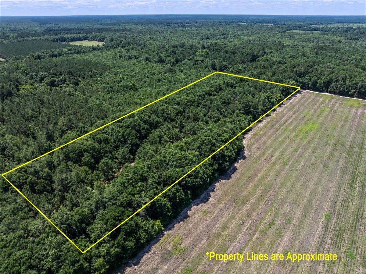 Tbd 5.3-acres Tbd 5.3-acres Springtown Road Bamberg, SC 29003 - Photo 11 of 11